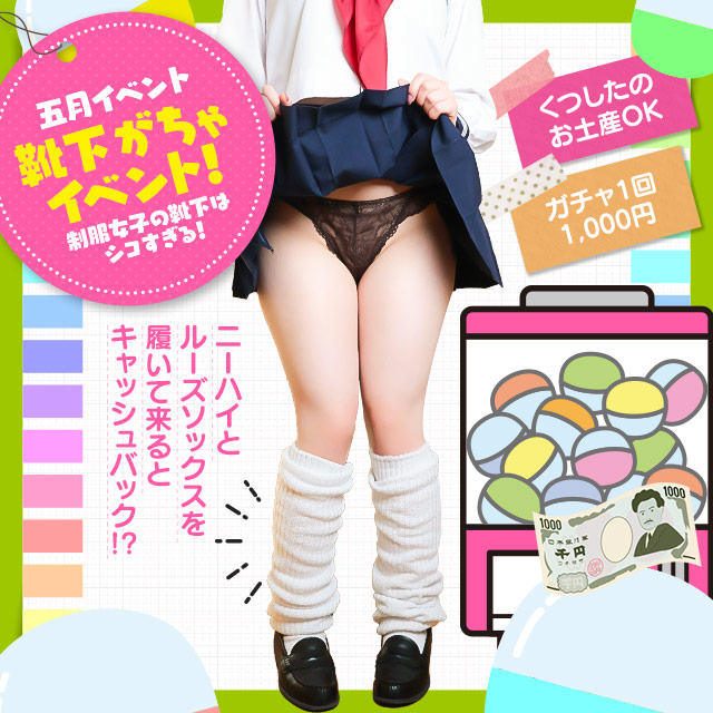 ソックス・パラダイス